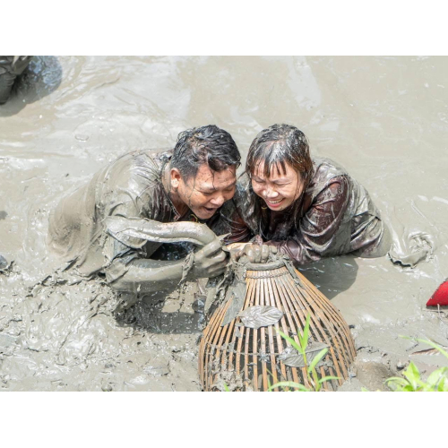 Những hoạt động dân dã